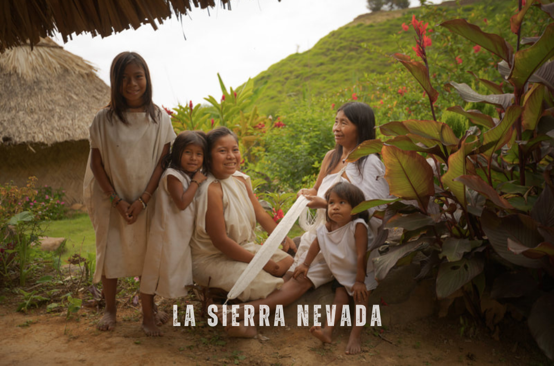 "Vue de la Sierra Nevada de Santa Marta à Minca, Colombie, avec rencontre du peuple Wiwa, une communauté indigène partageant ses traditions et sa culture."