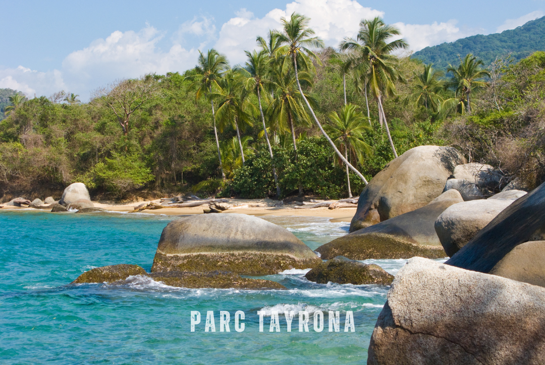 "Plage du Parc Tayrona en Colombie avec palmiers, rochers et mer turquoise, offrant un paysage naturel et sauvage sur la côte caribéenne."